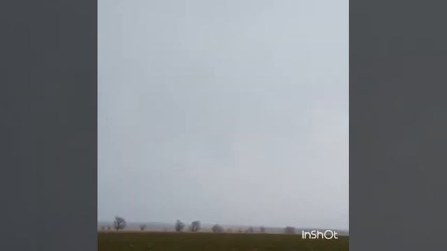 Борьба с мышами с помощью квадрокоптера смотреть онлайн