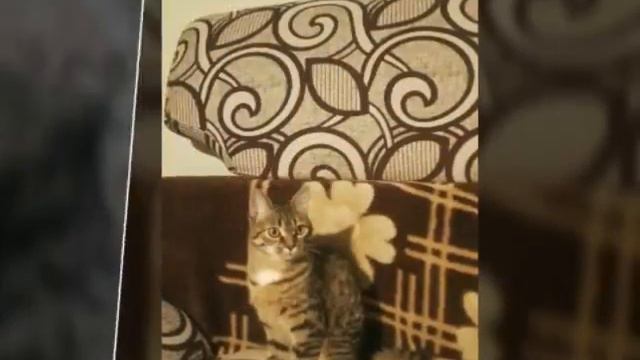 Зима прошла а фото осталось смотреть онлайн