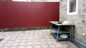 Пневматическая винтовка МР 61 ИЖ 61 и Хатсан 125 Hatsan 125 TH.  Характеристики и применение