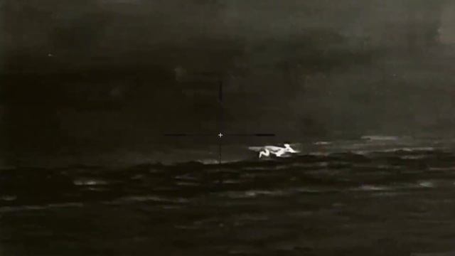 Subsonic БПЗ FMJ 12,7г. по лисе смотреть онлайн