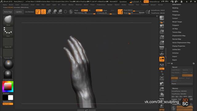 Как сделать реалистичную кисть руки в Zbrush