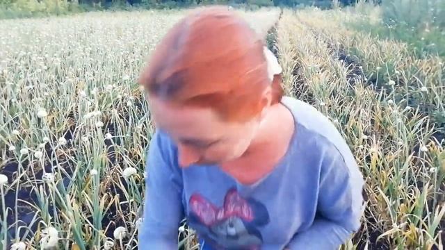 Воздушная бульбочка чеснока - 2019 смотреть онлайн