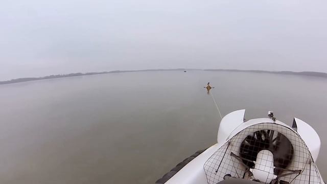 Топ 5 Животных Страдающих От Самих Себя | Животные Котрые Себя Убивают смотреть онлайн