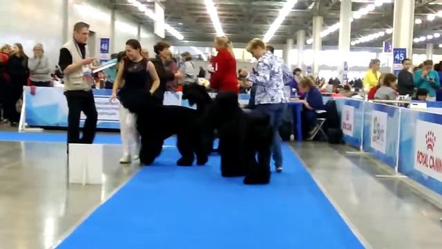 04.10.18 в-ка Россия смотреть онлайн