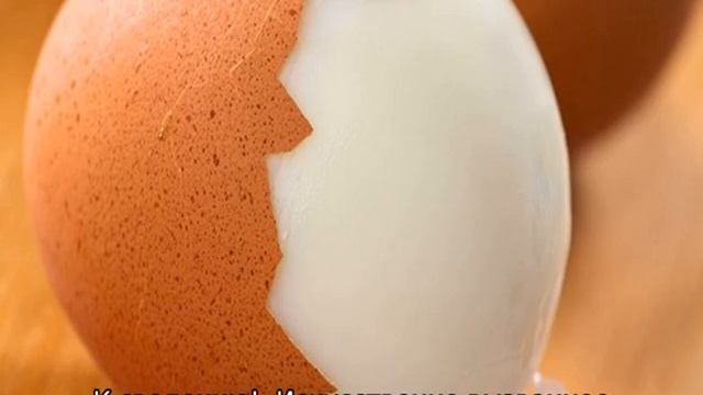 Сколько весит куриное яйцо смотреть онлайн