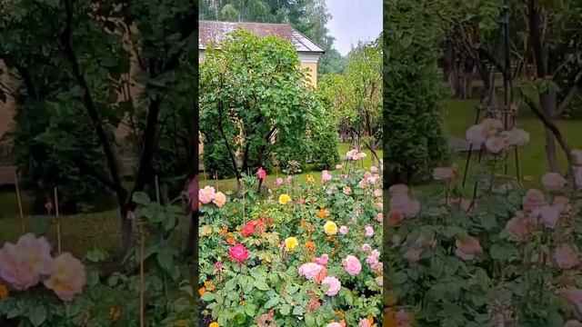 Выбрал самый дождливый день, чтобы поехать к Матроне Московской смотреть онлайн