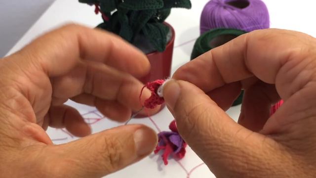 Spiegazione della Fucsia all'uncinetto смотреть онлайн