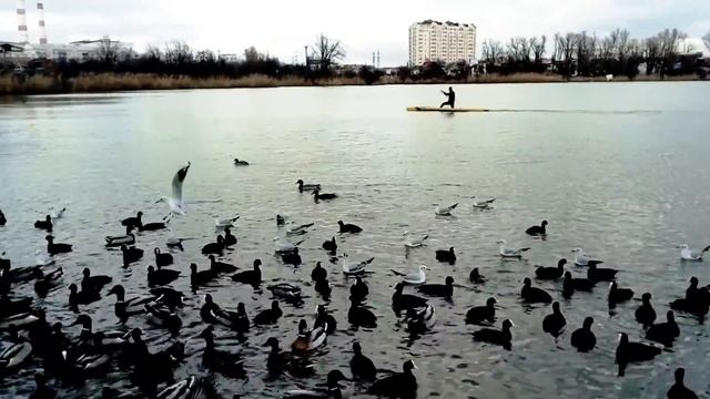 Парк «Солнечный остров», Краснодар. 21.01.18. смотреть онлайн