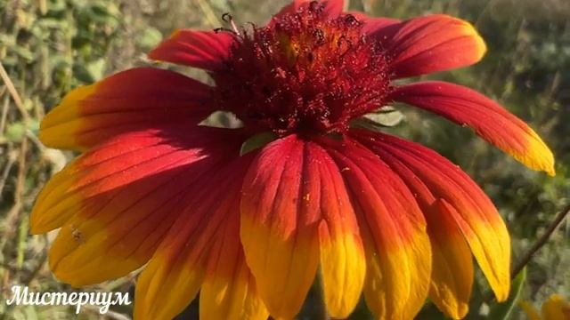 7 Самых Опасных дней в Октябре 2023. Будьте осторожны. Неблагоприятные дни месяца.