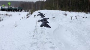 Флюгер летающий белолобый гусь. Чучела гусей с крыльями машущими. Чучела гусей Аквазон.ру