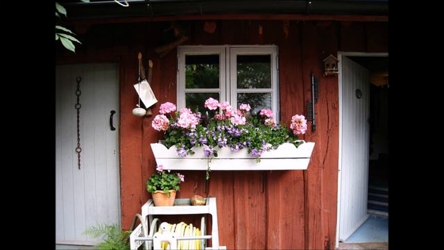 What are the best plants for balcony : Home Decor and Renovation Ideas смотреть онлайн