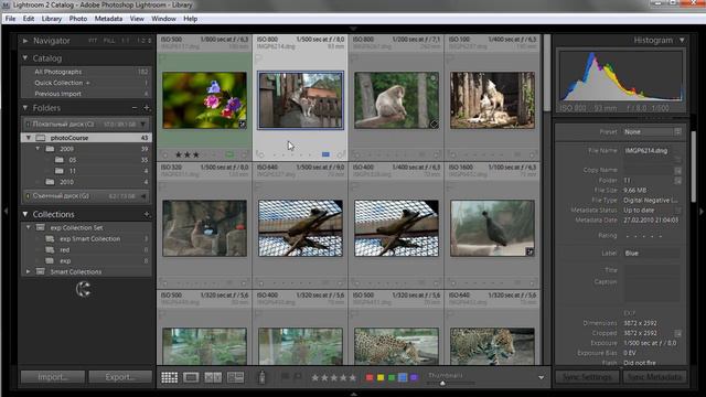 Урок 013 полного русского курса по Lightroom 2 смотреть онлайн