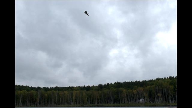 Удивительное Ленёво в августе. смотреть онлайн