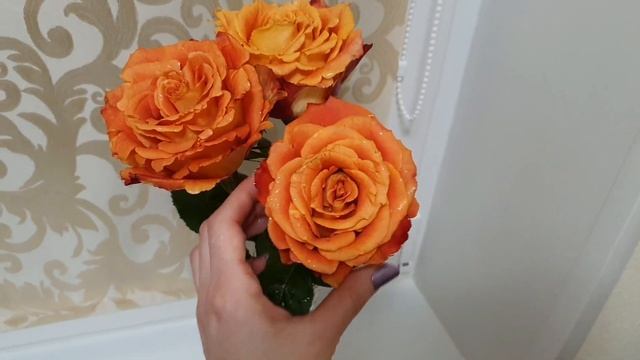 Как дольше сохранить срезанные розы смотреть онлайн