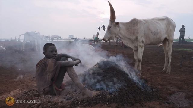 Реальное видео из Южного Судана. Мундари. смотреть онлайн