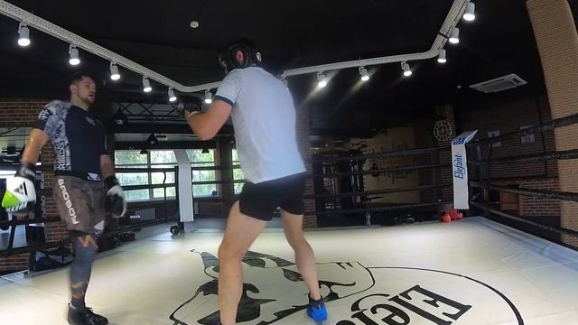 Бокс. Элефант. Тимофеев Н. Тогушев Е. отработка в парах. 2 смотреть онлайн