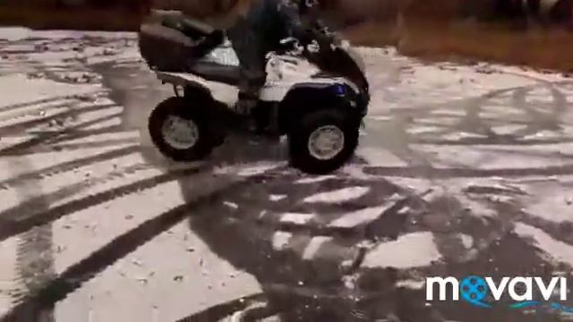 КВАДРАЦИКЛЫ НА БОЛОТЕ смотреть онлайн