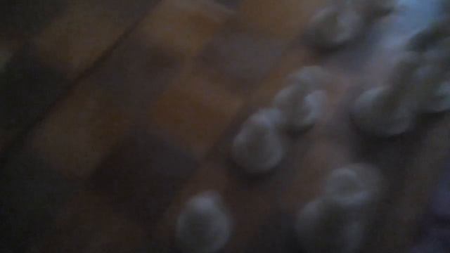 Самый быстрый и краткий мат в истории шахмат Дурацкий мат смотреть онлайн