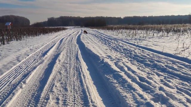 Идущий дойдет смотреть онлайн