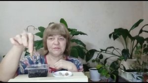 рамбутан/как посадить косточки