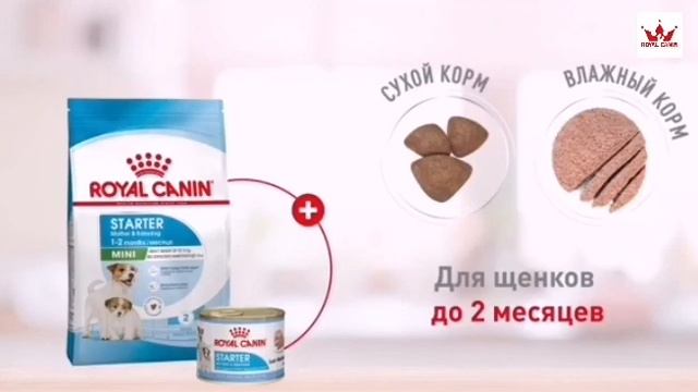корм Royal canin и Eukanuba, вся линейка под заказ от производителя. смотреть онлайн
