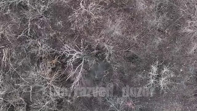 Коптеры охотятся на ВСУ.mp4 смотреть онлайн