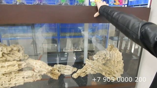 Хочется чего-то для души? Может Вам сюда? смотреть онлайн