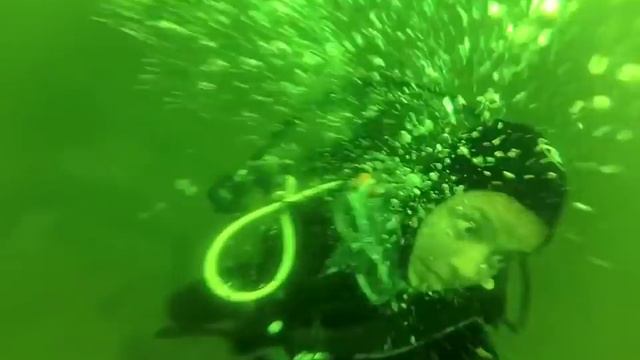 Scuba Diver Panic смотреть онлайн