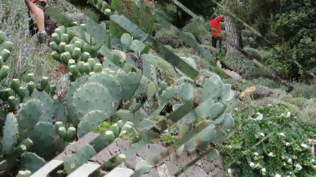 Южный Тироль, Италия. Мои фотосъемки. Südtirol. (italienisch Alto Adige, Sudtirolo) смотреть онлайн