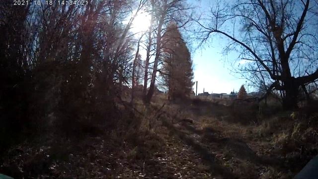 #157. 2021. Старые очистные сооружения сырзавода || Маслянино смотреть онлайн