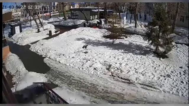 Кража арт-объекта в центре Челябинска средь бела дня попала на видео смотреть онлайн