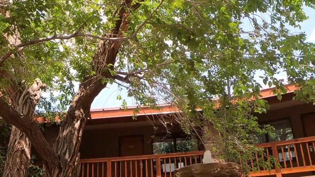 Road Trip: Cameron Grand Canyon Lodge & Gallery смотреть онлайн