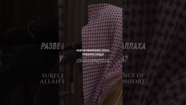 Мухаммад аль Люхайдан #мухаммадﷺ #мухаммадлюхайдан #субханаллох #куран #вера смотреть онлайн