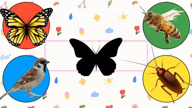 Game choose the right animal with the duck, elephant, butterfly, shark, very beautiful смотреть онлайн