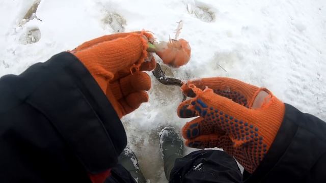 02.02.2019г. Рыбинка. Рыбалка на Рыбинском водохранилище. Ловим Налима. смотреть онлайн