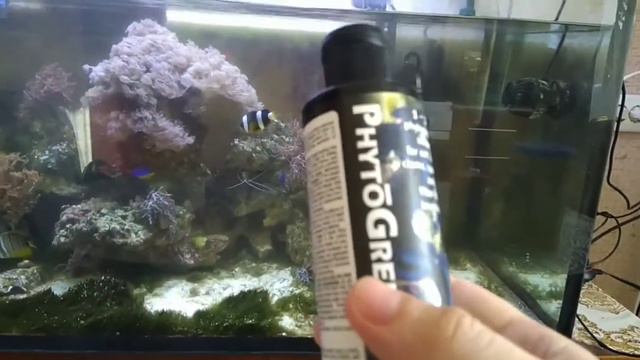 Biotop Marine 250 л. Морской аквариум без больших вложений смотреть онлайн