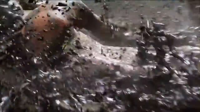 ФИЛЬМ ДЖУНГЛИ