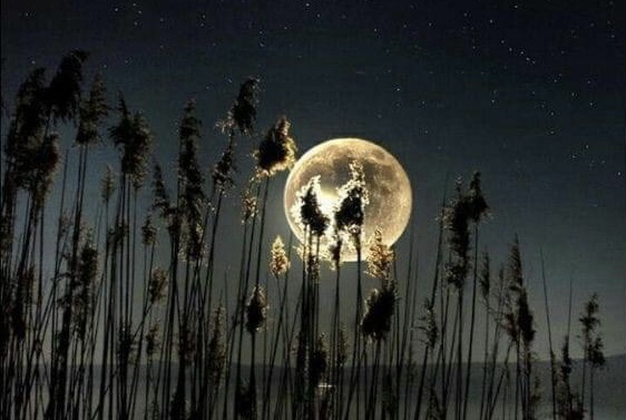 До дома подать рукой!