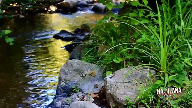 Тестовое упражнение для расслабления. С МУЗЫКАЛЬНЫМ СОПРОВОЖДЕНИЕМ. (без муз. сопр. см. плейлист) смотреть онлайн