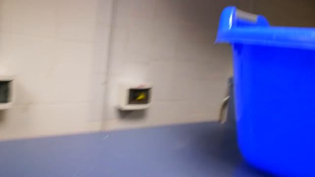 Miele Professional, неисправность системы привода. смотреть онлайн