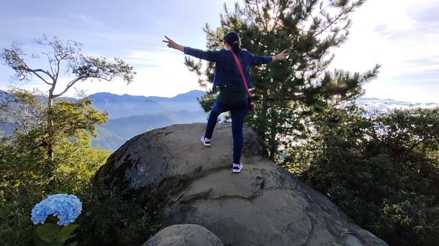 Exploring Northern Blossom Flower Farm @Atok Benguet || Netherlands of Philippines смотреть онлайн