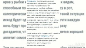 топ 8 сомиков для аквариума