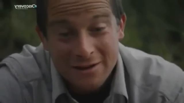 BearGrylls-contro i castori infernali(PARODIA) смотреть онлайн