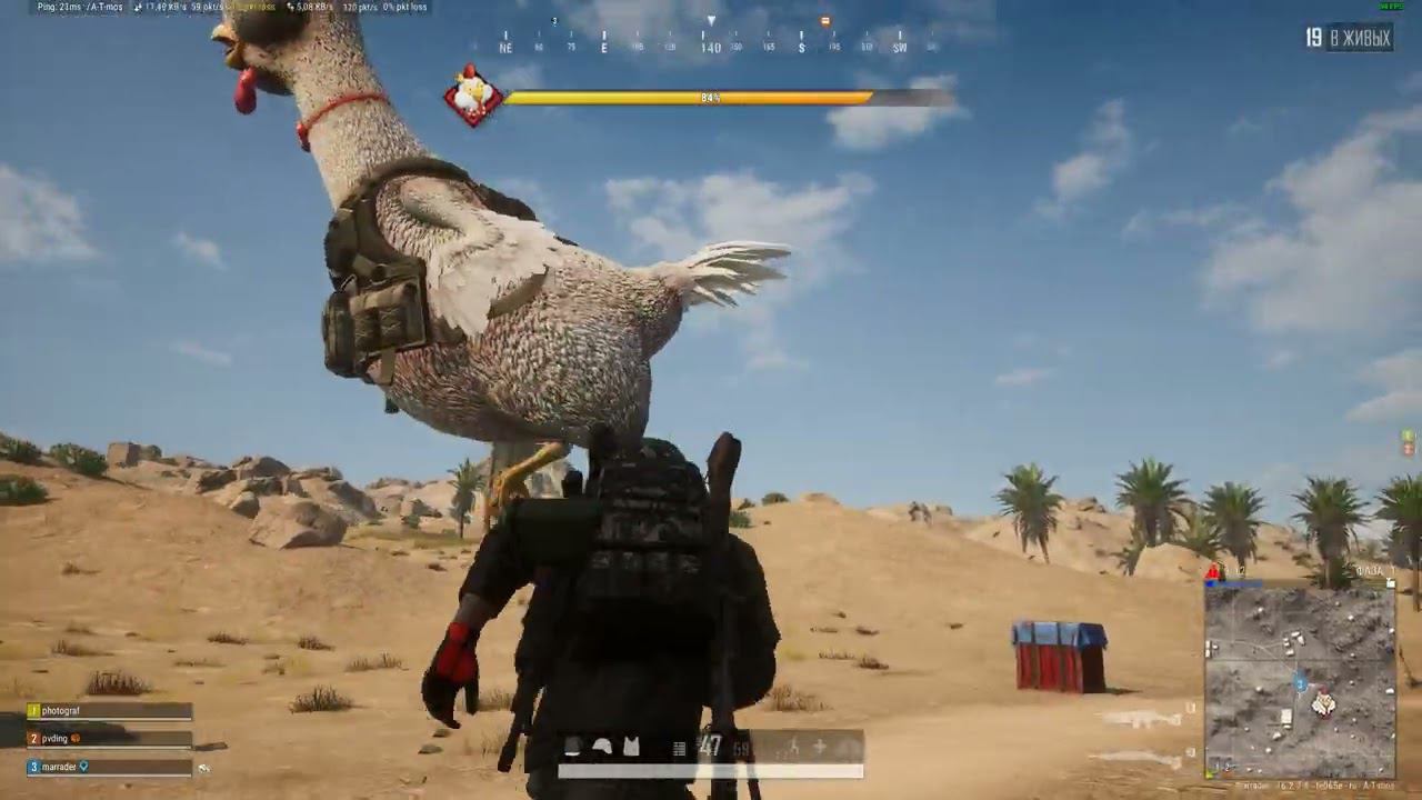 PUBG - новый петушиный замес #pubg смотреть онлайн
