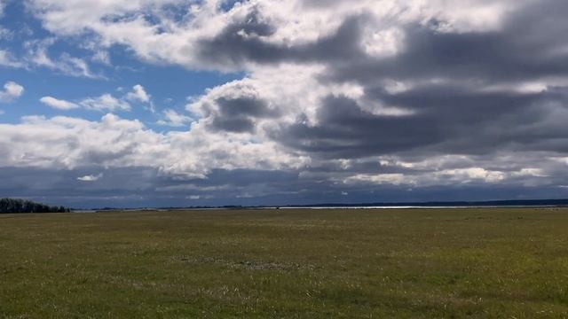 Акита и лошадь смотреть онлайн