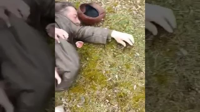 В Киевской области при попытке перевода храма УПЦ в ПЦУ умер мужчина который вырвал крест у батюшки смотреть онлайн