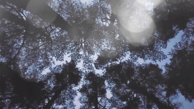 МУЖ ушел К ДРУГОЙ, потому что Она не могла ИМЕТЬ ДЕТЕЙ