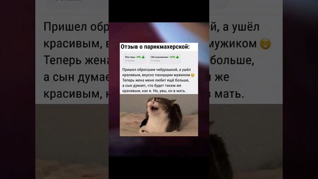 Не знаю что писать #мем #мемы #прикольчик #прикол #смешно #хаха #смех #смехдослез #смешноевидео #кр смотреть онлайн