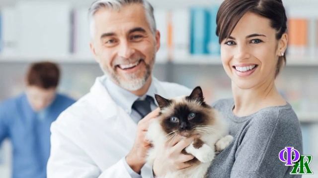 Митенька Недосфинкс 6. Гаврюшенька тоже хотел себе красивые пятнышки, как у Митеньки и решил… смотреть онлайн