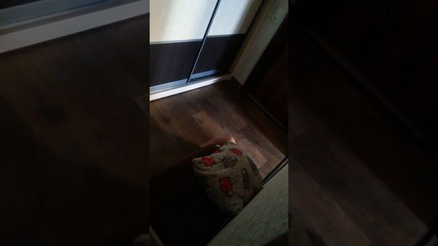 Мася учится ползать 3 смотреть онлайн